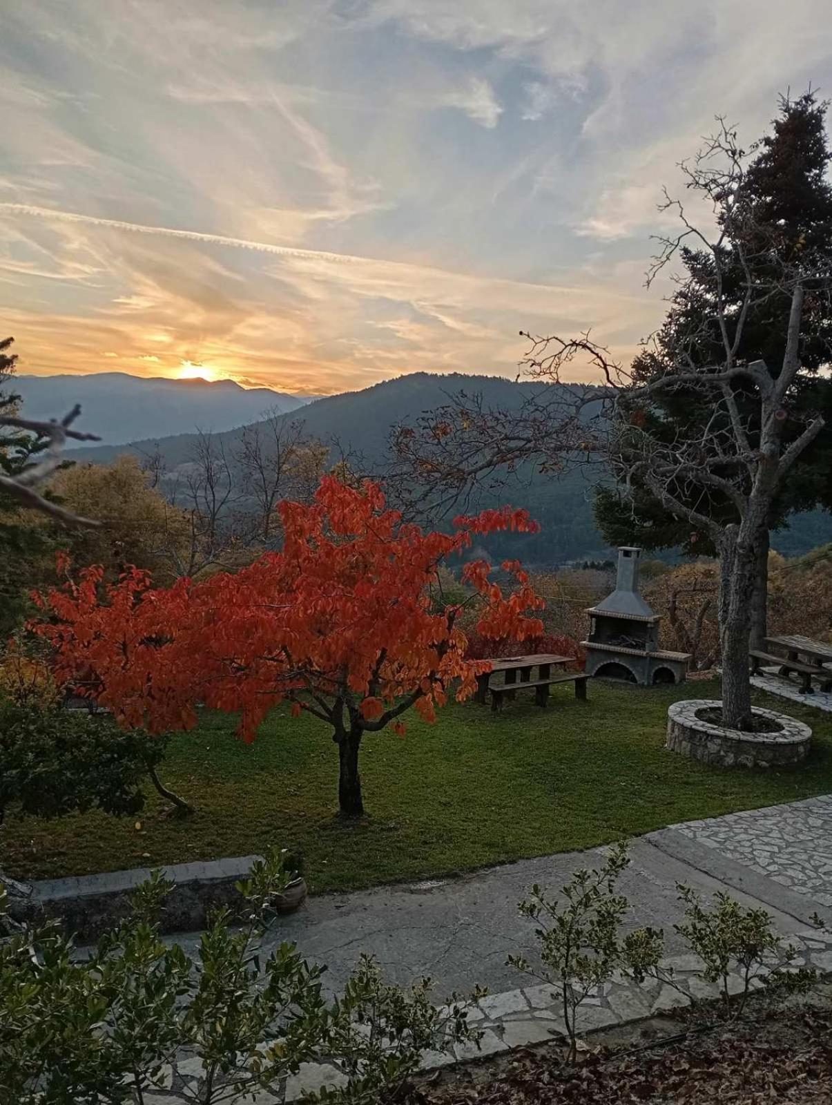 Ξενώνας Το Πατρικό Karia  ภายนอก รูปภาพ